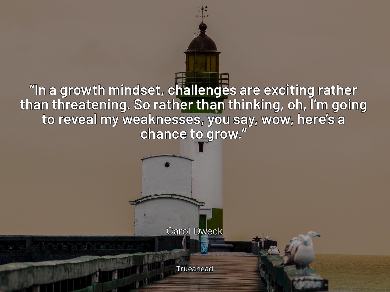 Embracing Growth Mindset: Transforming Challenges into Opportunities for Personal Development by Carol Dweck