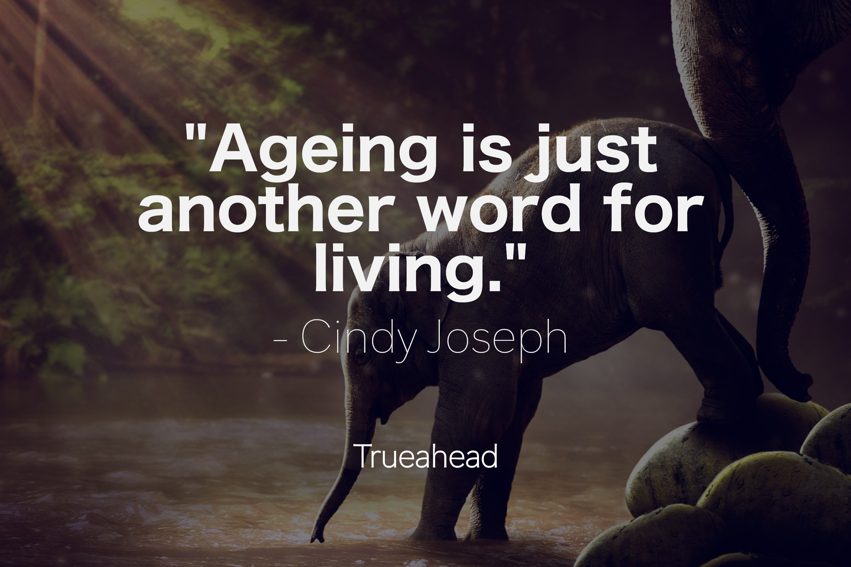 About Aging by Cindy Joseph - Quotes