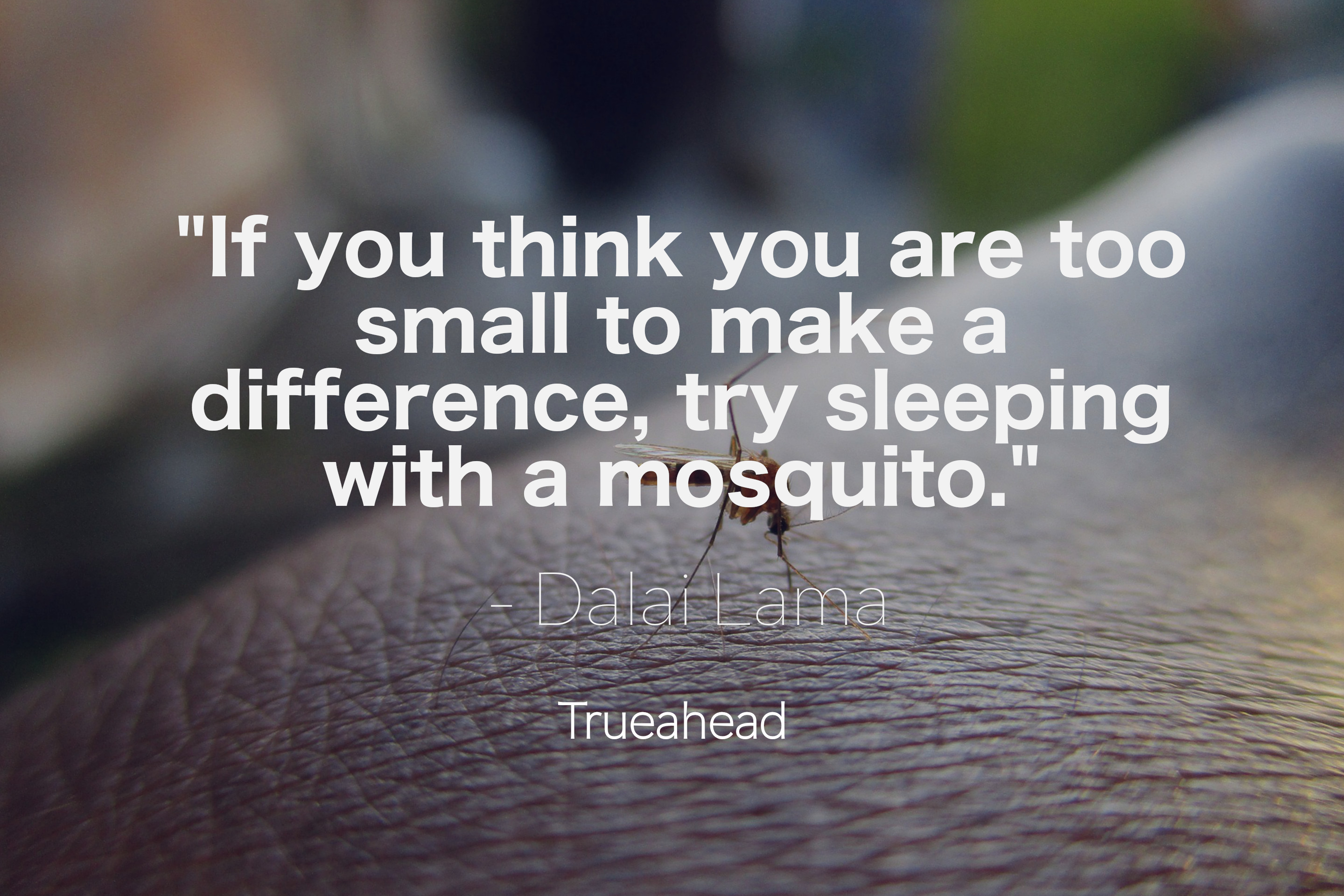 About Making a Difference by Dalay Lama - Quotes
